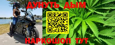 прущая мука Новодвинск