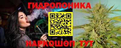 2c-b Новозыбков