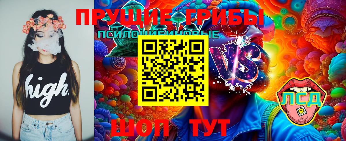 Псилоцибиновые грибы мицелий Славгород