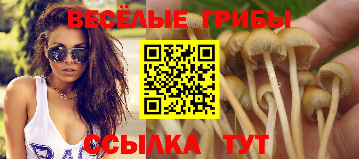 Галлюциногенные грибы MAGIC MUSHROOMS  где можно купить   Вход с VPN  Славгород  Галлюциногенные грибы Psilocybe 